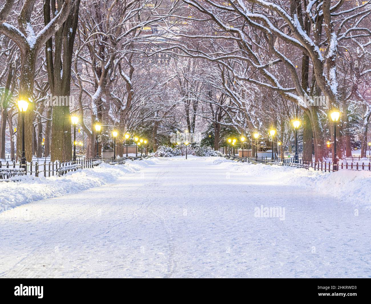 The Mall in Central Park, New York City after snow storm in early ...