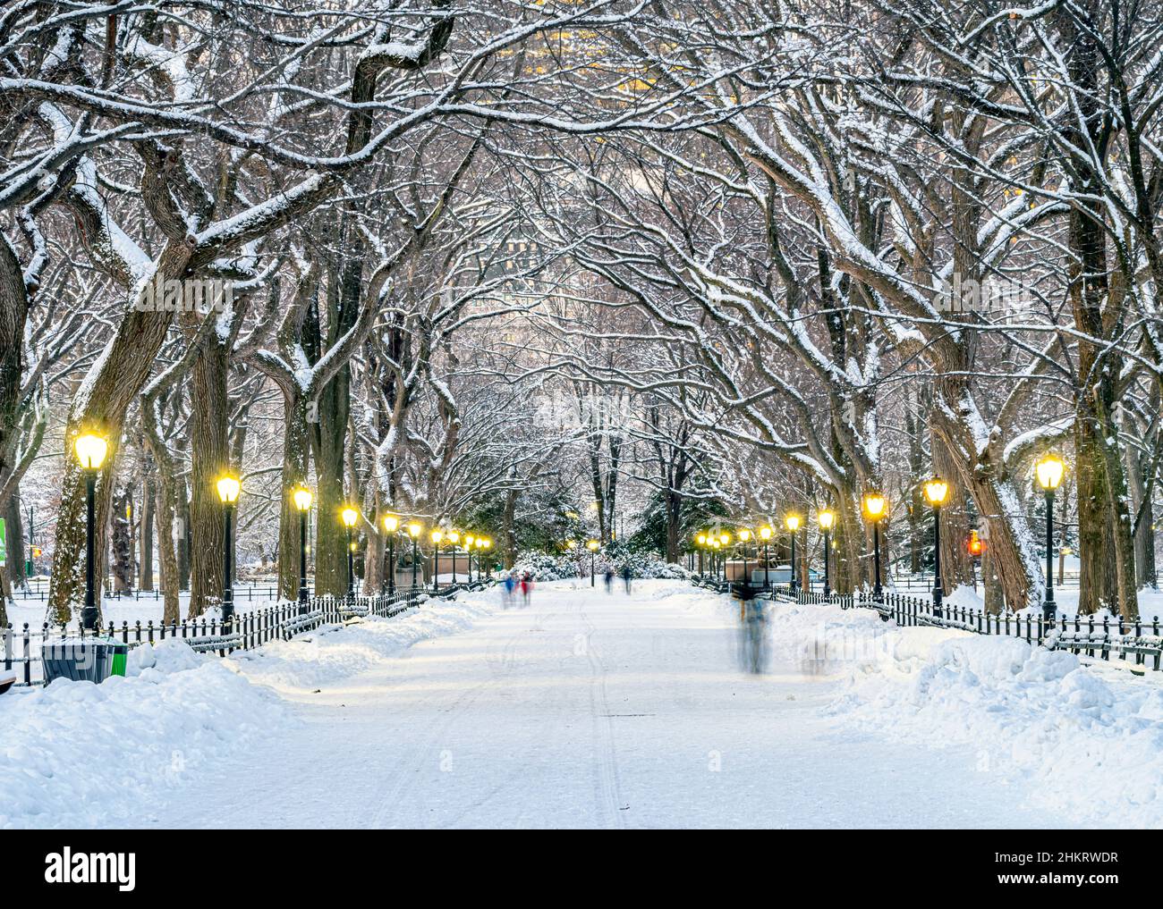 The Mall in Central Park, New York City after snow storm in early ...