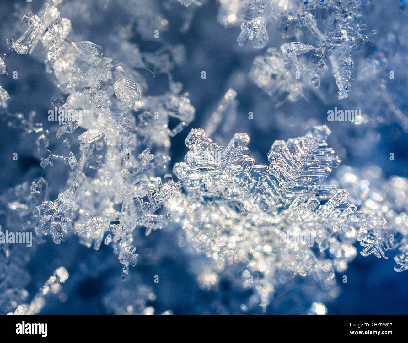 Macro frost Stock Photo
