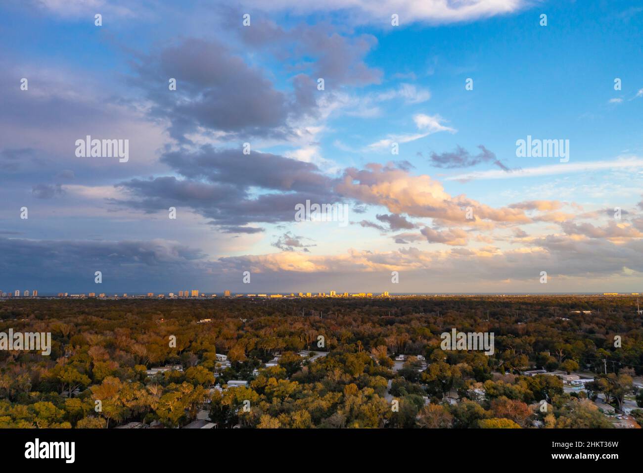 Aerial looking east over tree tops and Port Orange, Florida suburban