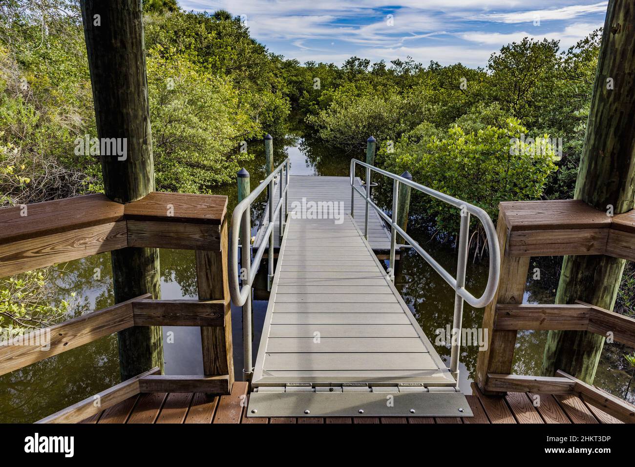 Park ramp leading down to a floating pier sitting in a narrow channel which has been cut through a magrove swamp in the Ponce Inlet Preserve, Florida. Stock Photo