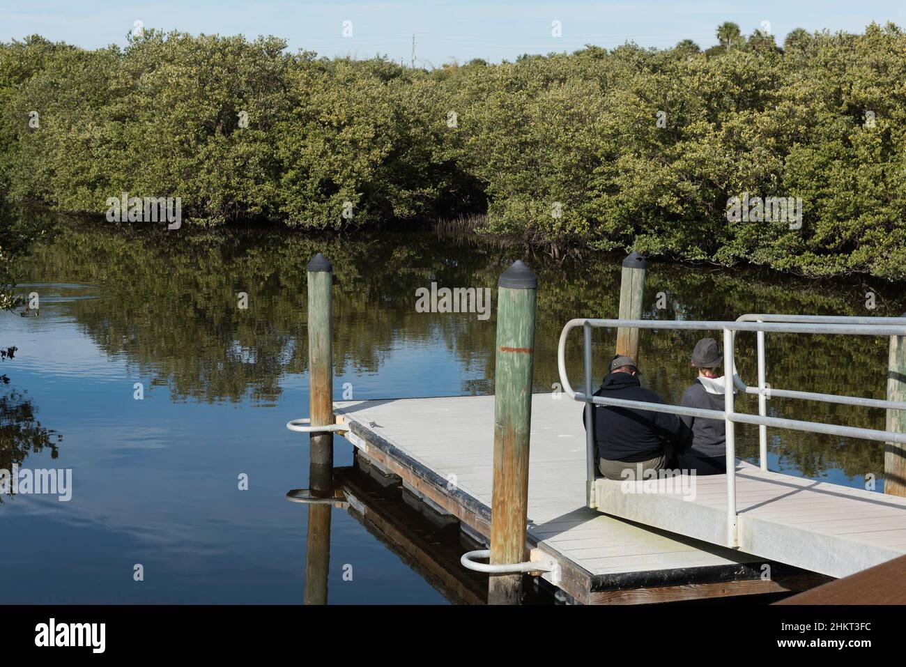 A couple relaxing on an  floating pier set in a Florida mangrove swamp on a sunny winter day. Stock Photo