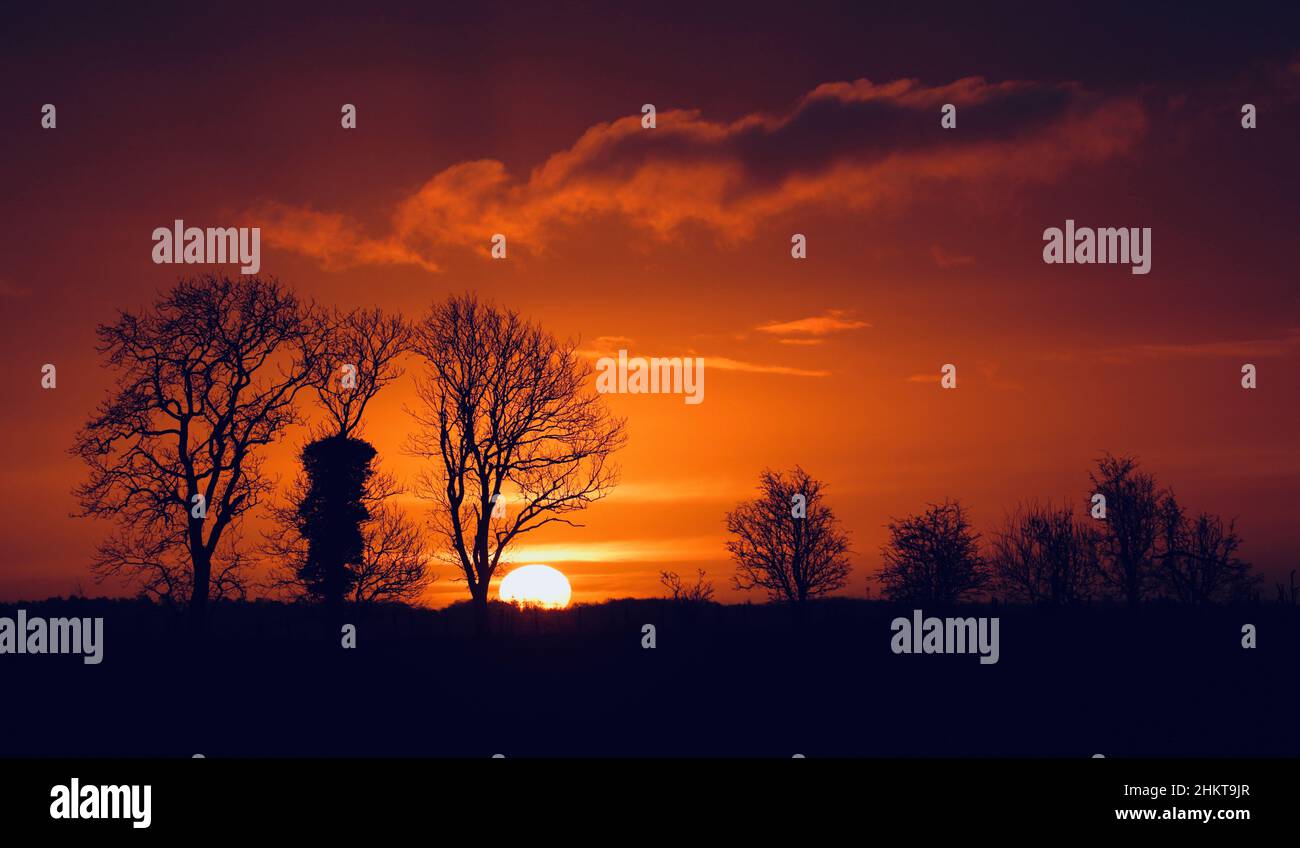 Tre silhouettes hi-res stock photography and images - Alamy