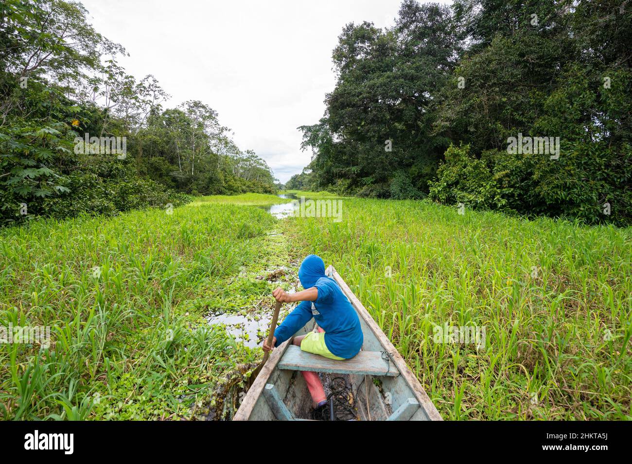 canoe trip on a river in the Amazon forest Stock Photo Alamy