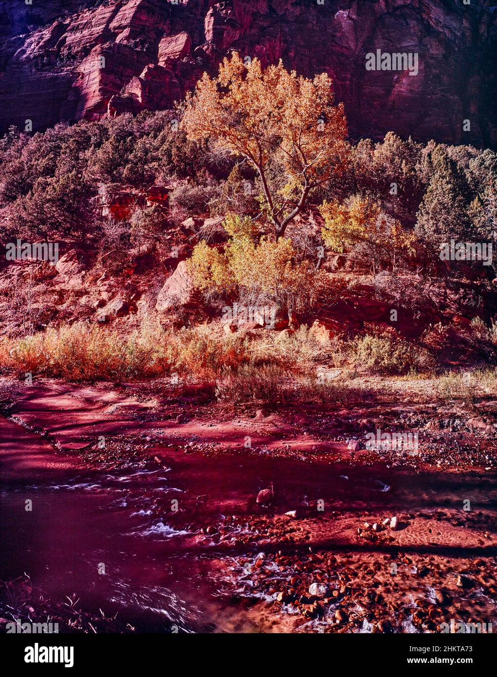 Glorious Zion National Park landscape, Utah, United States Stock Photo