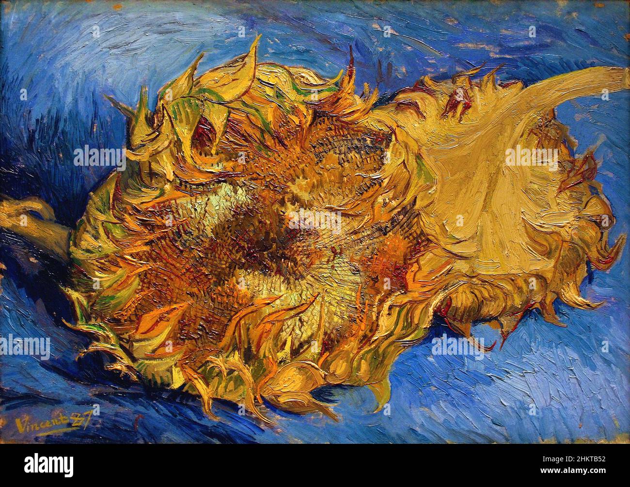 the Two Cut Sunflowers by Vincent Van Gogh 1887, Metropolitan Museum Of Art in New York, USA Stock Photo