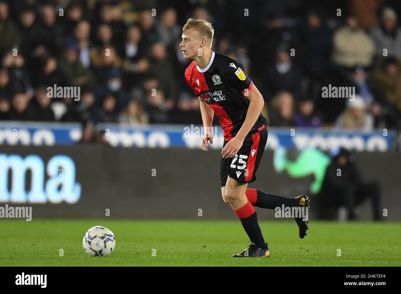 Jan paul van hecke hires stock photography and images Alamy