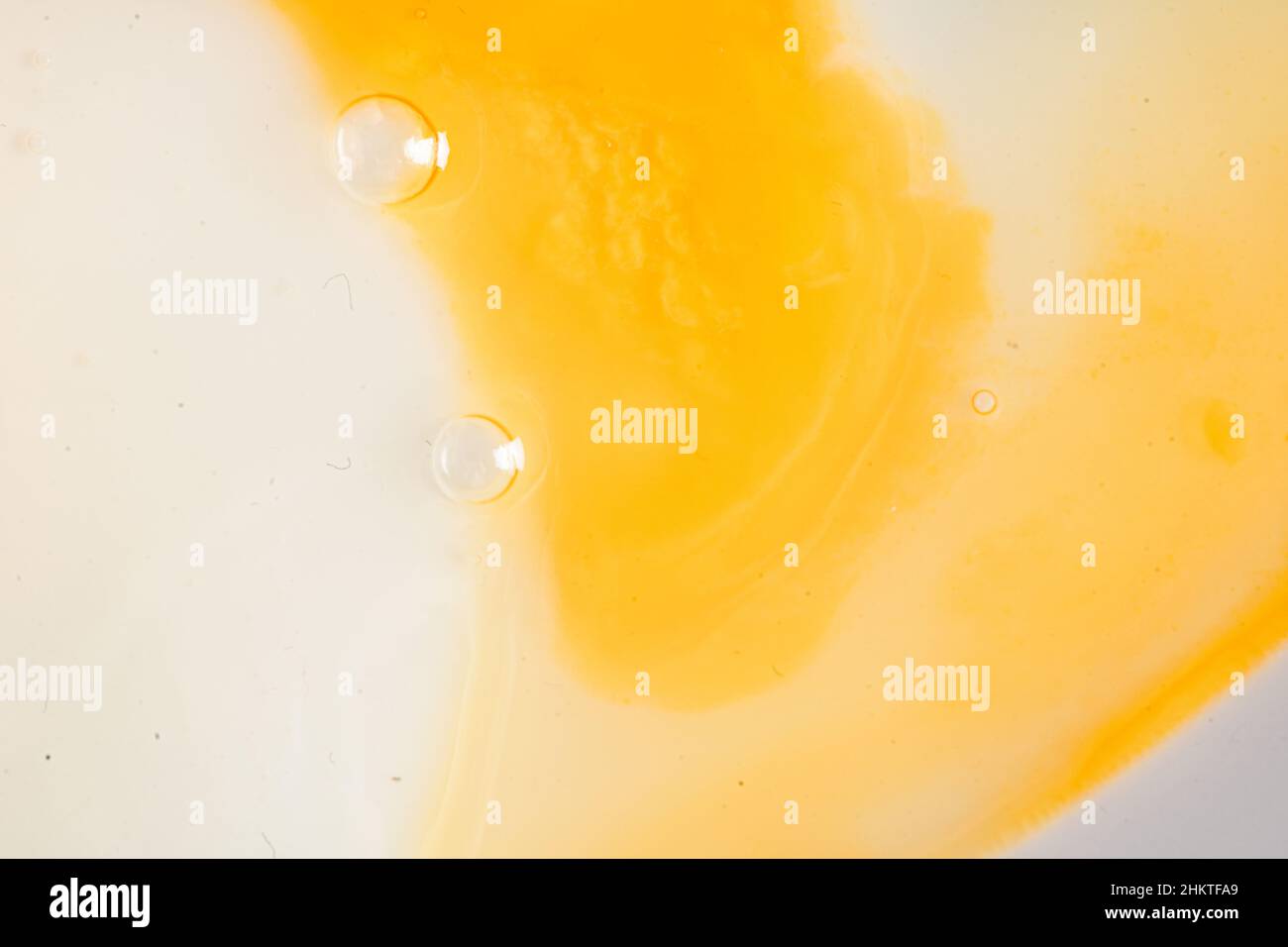 Macro shot of egg yolk of cracked egg. Cooking recipe made from eggs