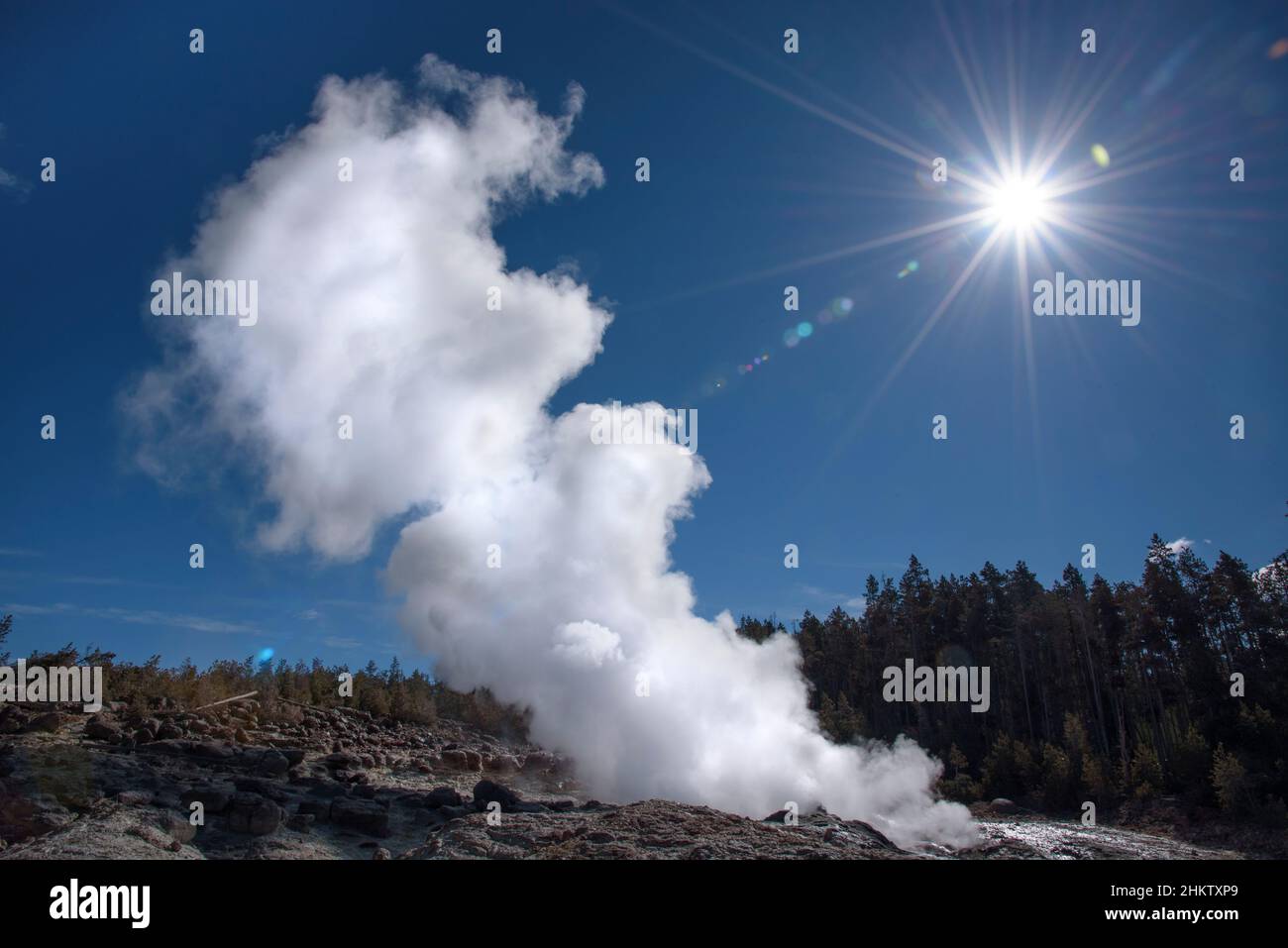 Steamboat Geyser in the Norris Geyser Basin of Yellowstone National Park, Wyoming. Stock Photo