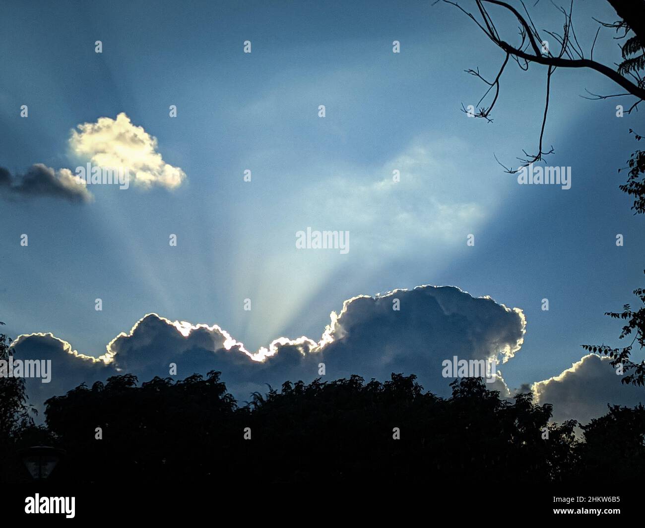 A silhouette of trees area under a cloudy sky while sunrise Stock Photo ...