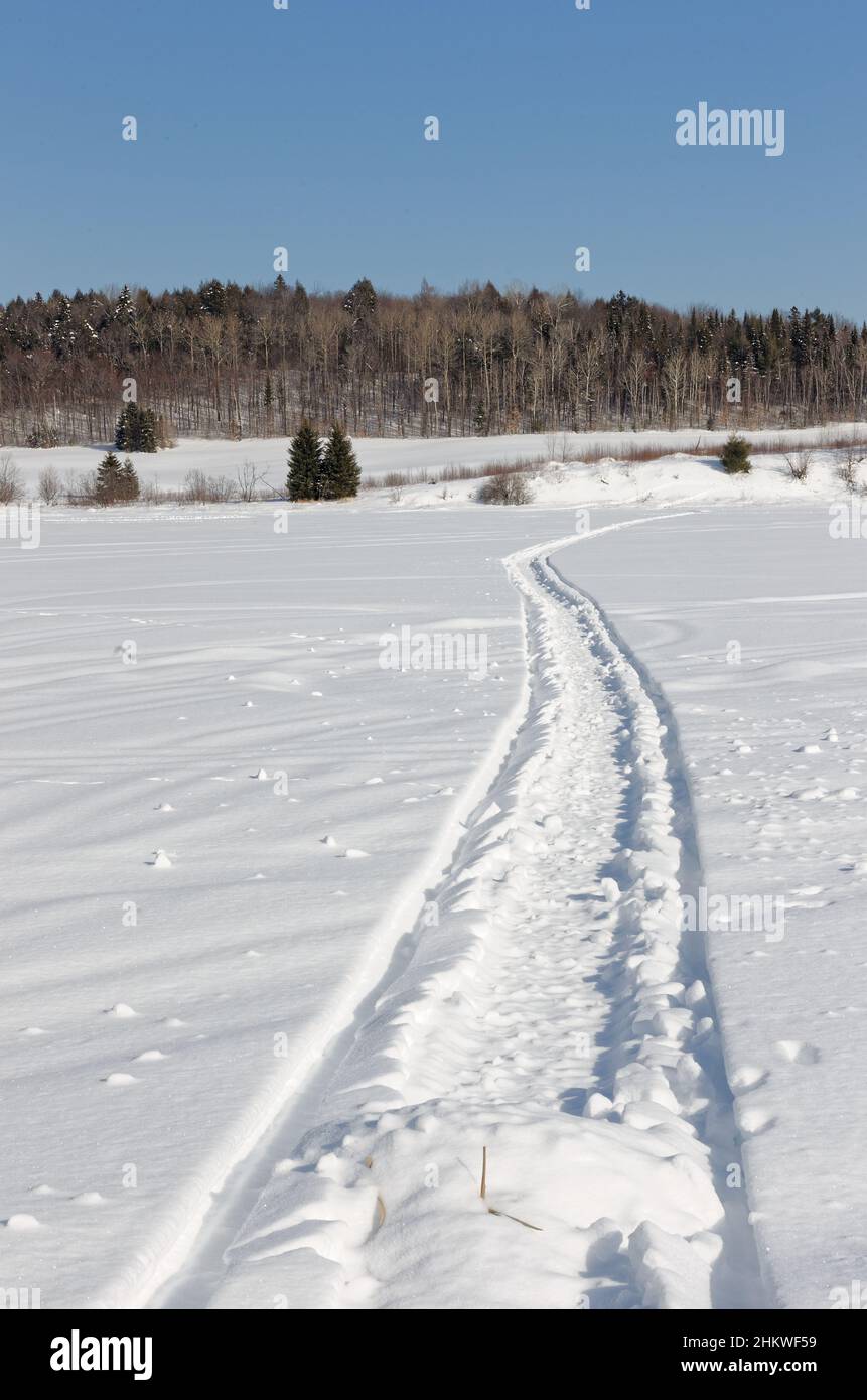 Snowmobile track in a field. Quebec,Canada Stock Photo Alamy