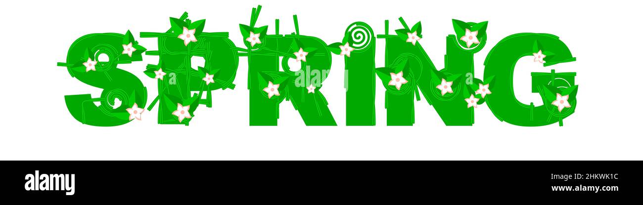 SPRING word lettering. Green flower font. 3D realistic illustration ...