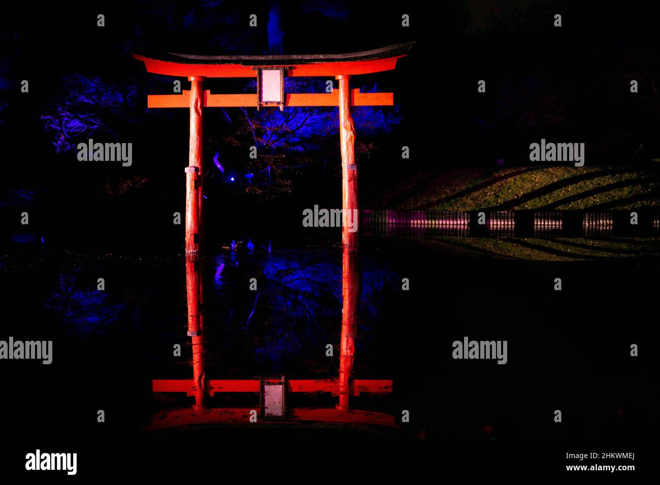 Japanese gate torii with reflection in water at night. Illuminated red ...