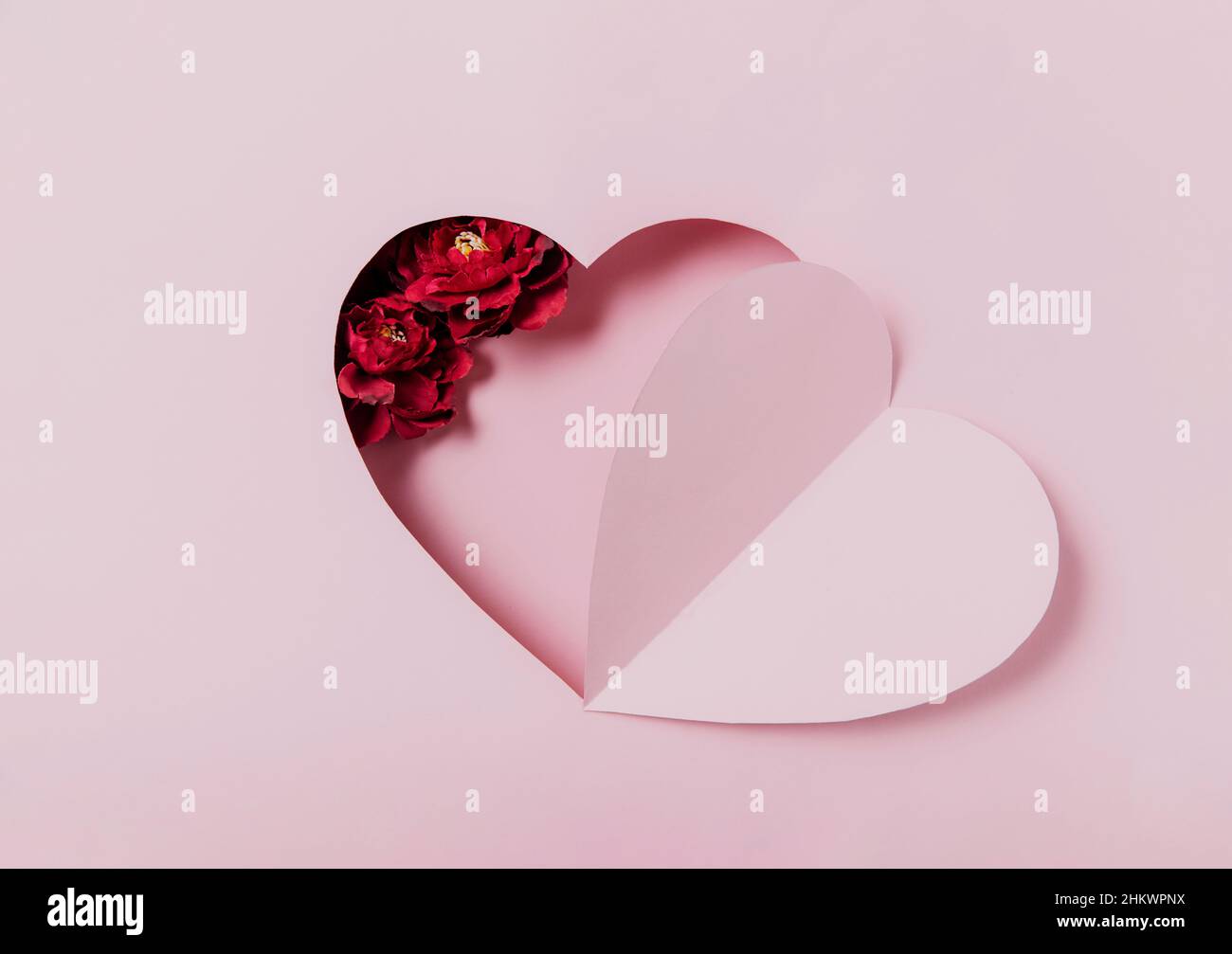 Love message, Saint Valentine Day conceptual flat lay. Top view on cut, curved paper pink heart shape on pink background. Minimal mockup for valentine card, invitation, greeting card. Red rose flower Stock Photo