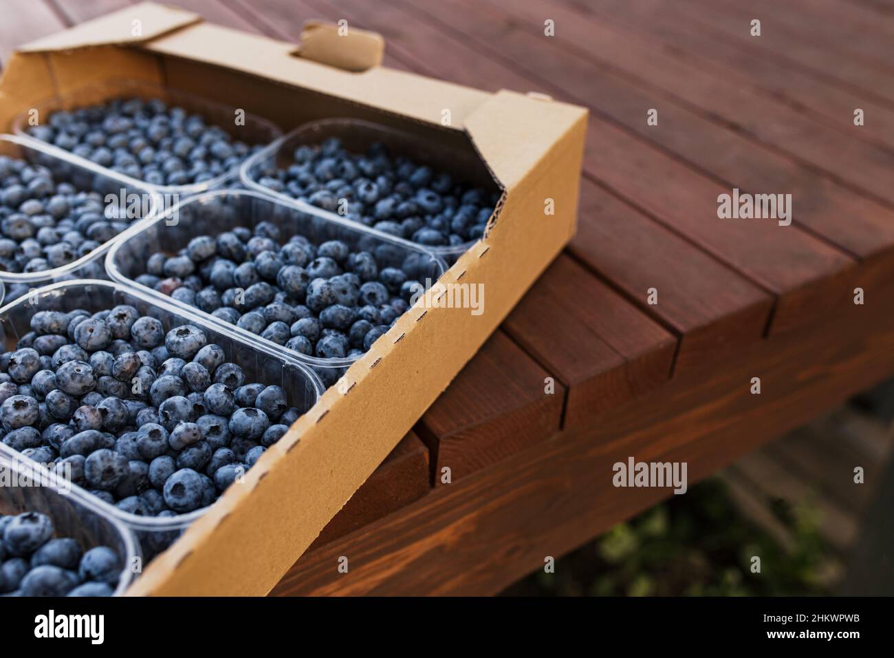 Box, crate or container with collected fresh blueberries. Berries agriculture business. Farmer cultivating and harvesting blueberry. Horticulture industry. Brown wooden boards background Stock Photo