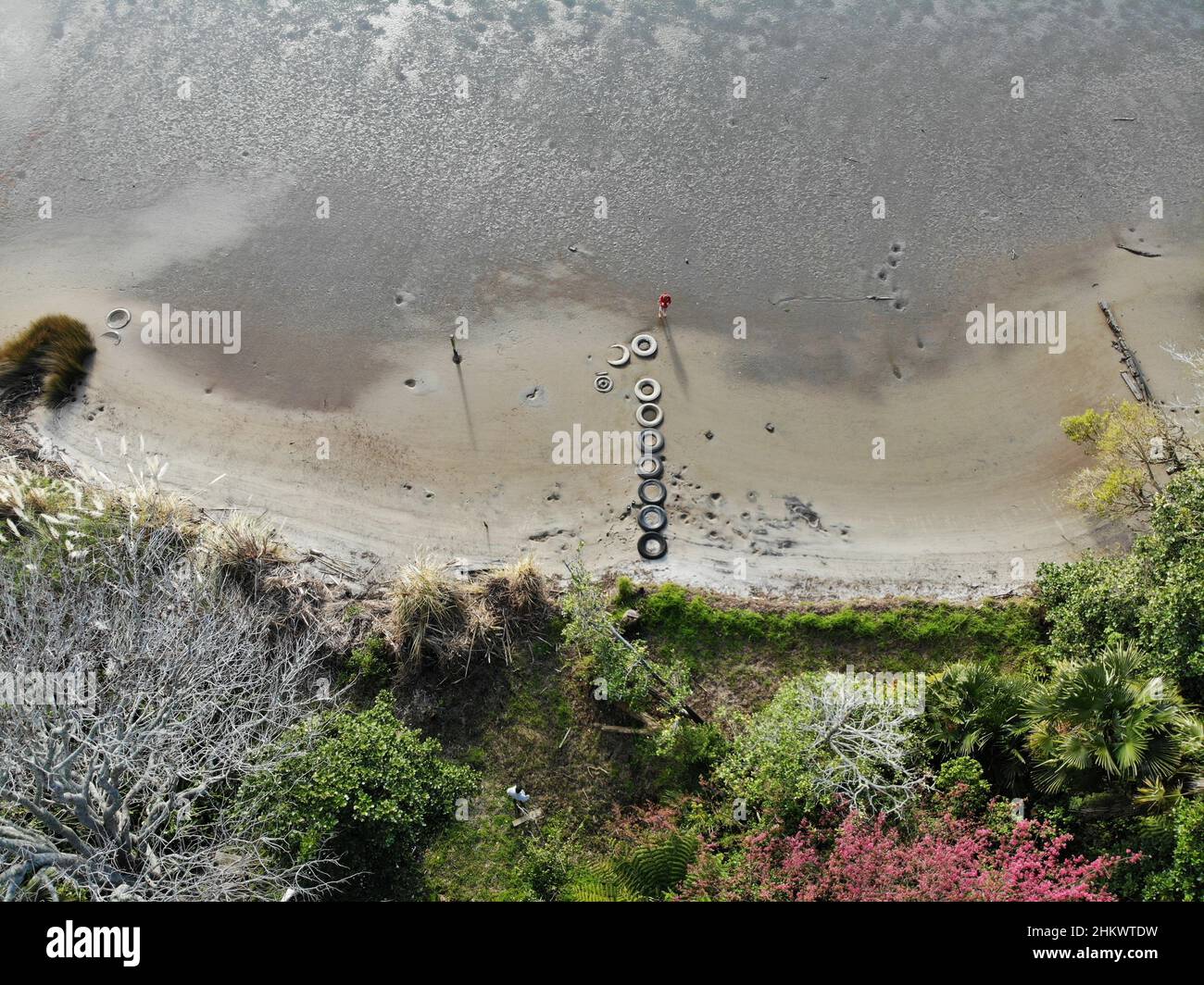 Drone animal sea hi-res stock photography and images - Alamy