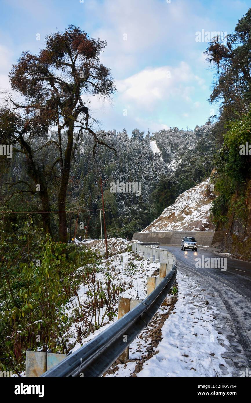 Snow covered roads and pine forest on the way to Lava, Kalimpong Stock Photo