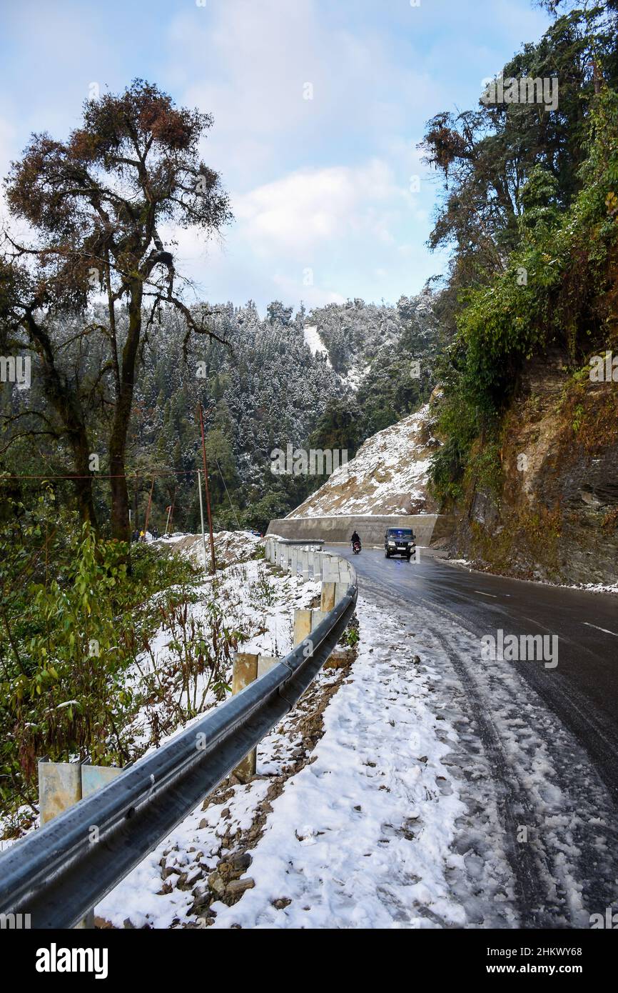 Snow covered roads and pine forest on the way to Lava, Kalimpong Stock Photo