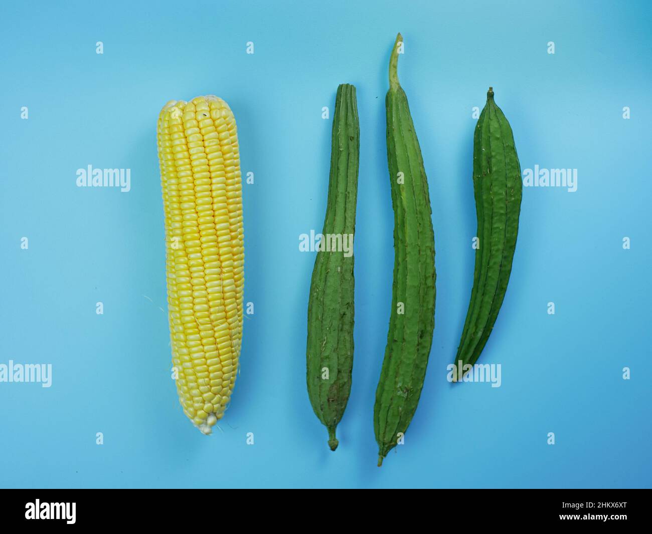 corn and luffa acutangula on blue background. healthy vegetable concept. Stock Photo