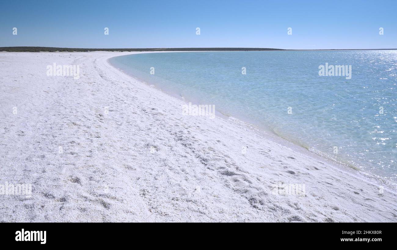 autumn afternoon view of shell beach at shark bay Stock Photo