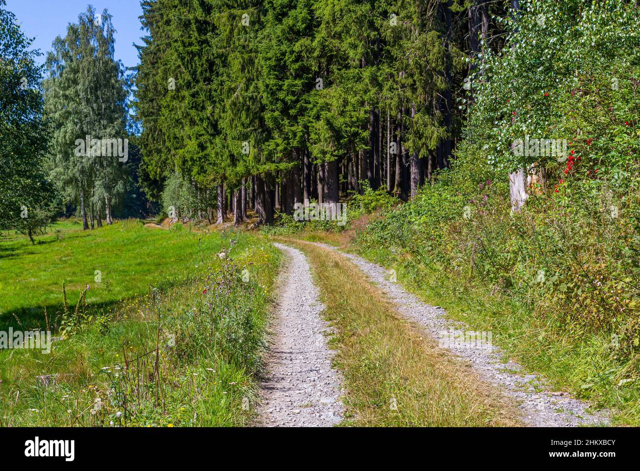 Wanderweg sonnenschein hi-res stock photography and images - Alamy
