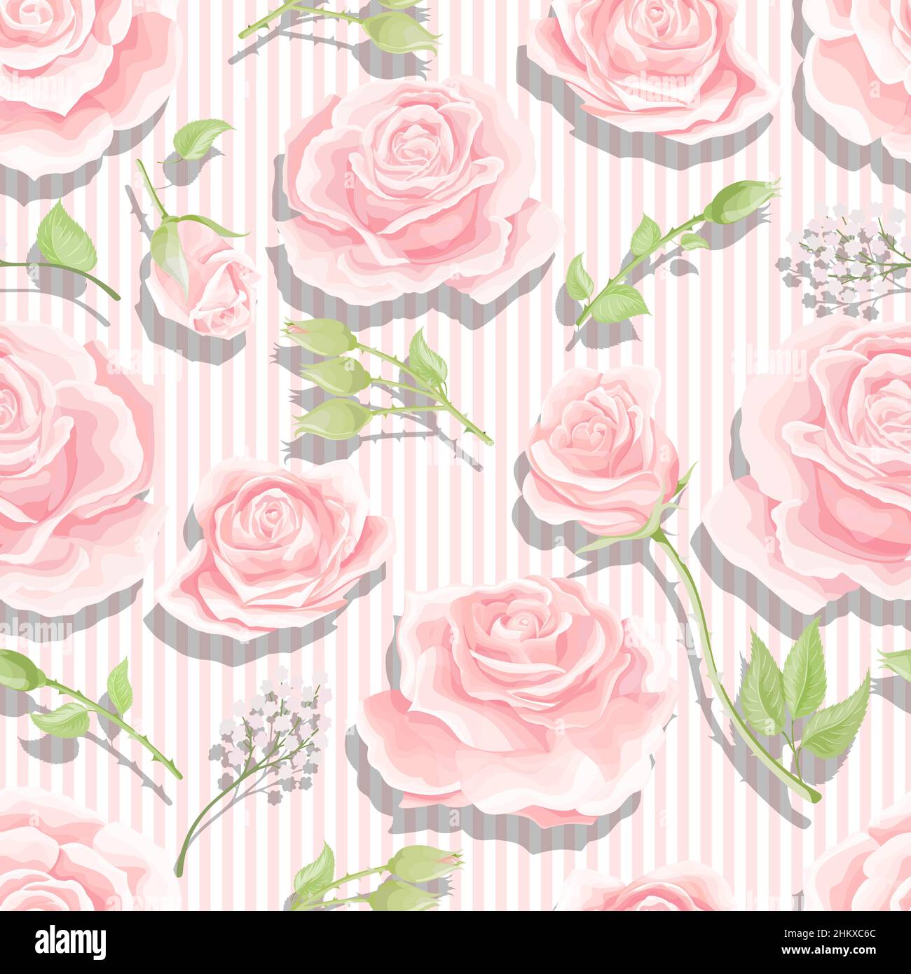 Cream pink roses seamless vector pattern with vertical stripes ...