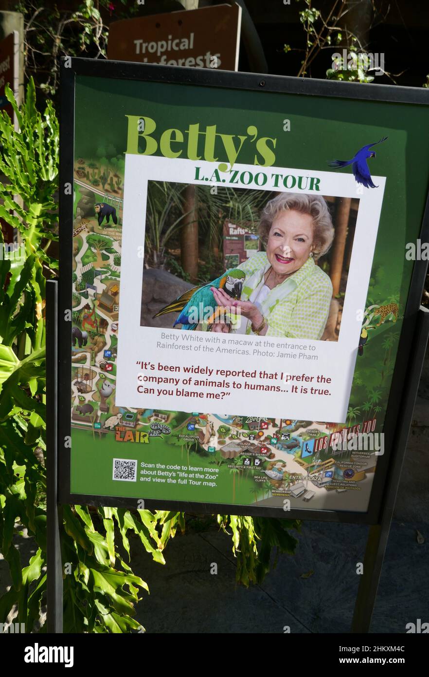 Betty white zoo tour hires stock photography and images Alamy