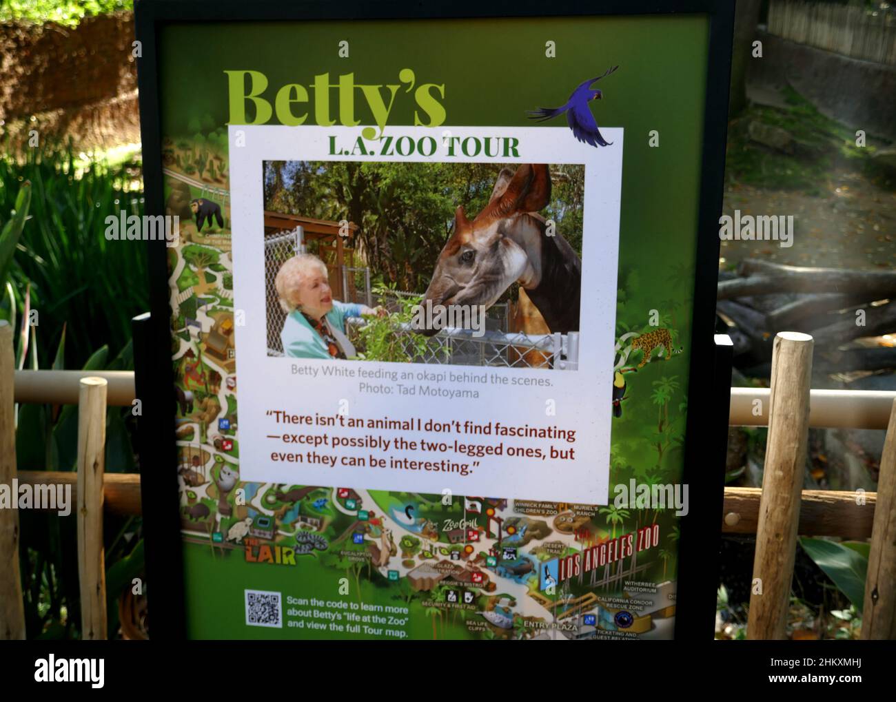 Los Angeles, California, USA 21st January 2022 Betty White's Zoo Tour