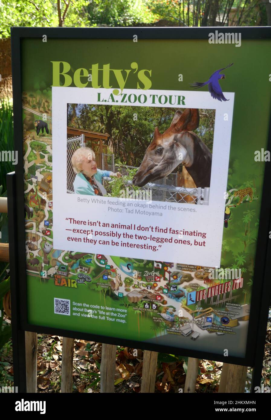 Betty white zoo tour hires stock photography and images Alamy