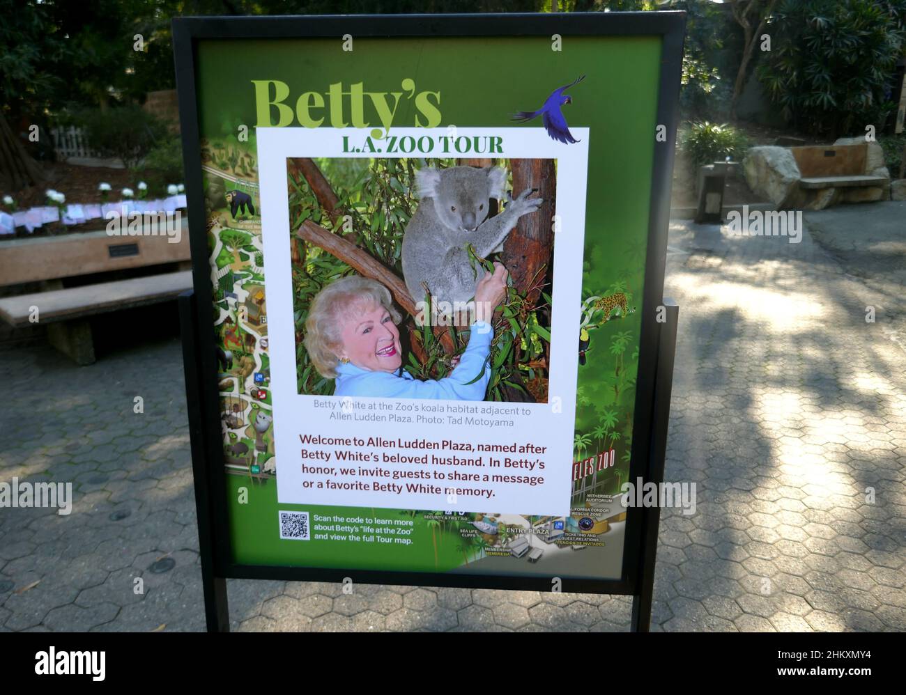 Betty white zoo tour hires stock photography and images Alamy