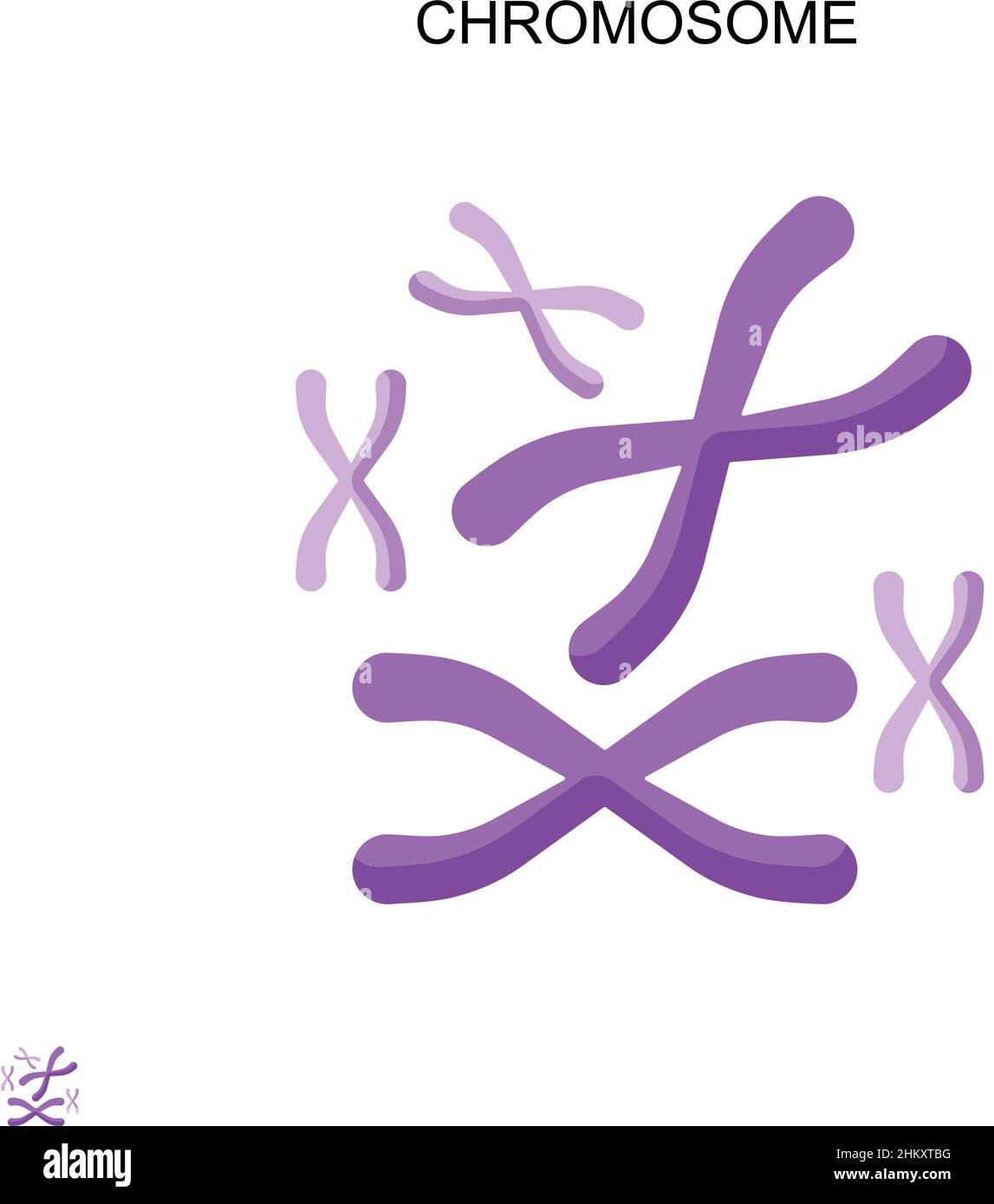 Chromosome Simple vector icon. Illustration symbol design template for web mobile UI element. Stock Vector