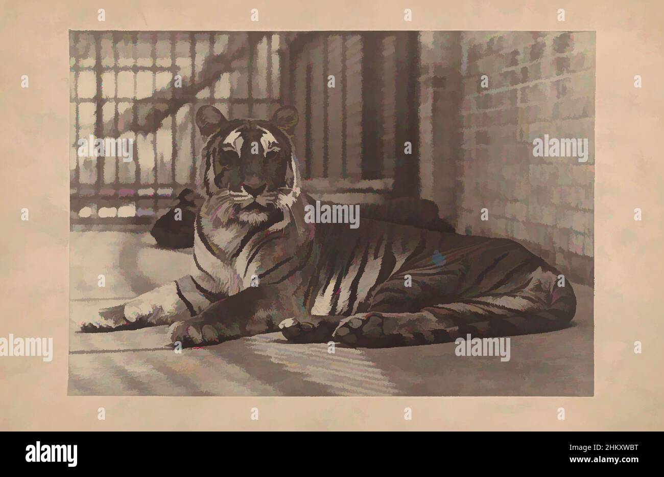 Art inspired by Tiger in a zoo, Thomas James Dixon, c. 1880, cardboard, carbon print, height 241 mm × width 346 mm, Classic works modernized by Artotop with a splash of modernity. Shapes, color and value, eye-catching visual impact on art. Emotions through freedom of artworks in a contemporary way. A timeless message pursuing a wildly creative new direction. Artists turning to the digital medium and creating the Artotop NFT Stock Photo