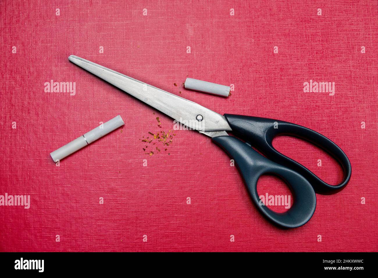 Cigarette in scissors. Bad habit. Stock Photo