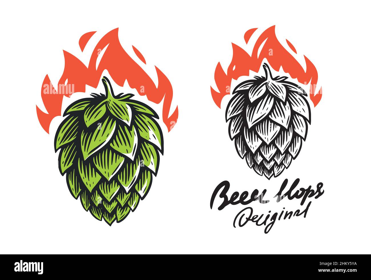 Hop cone and fire label. Design elements for logo, badge, emblem, restaurant menu, beer pub, brewery Stock Vector