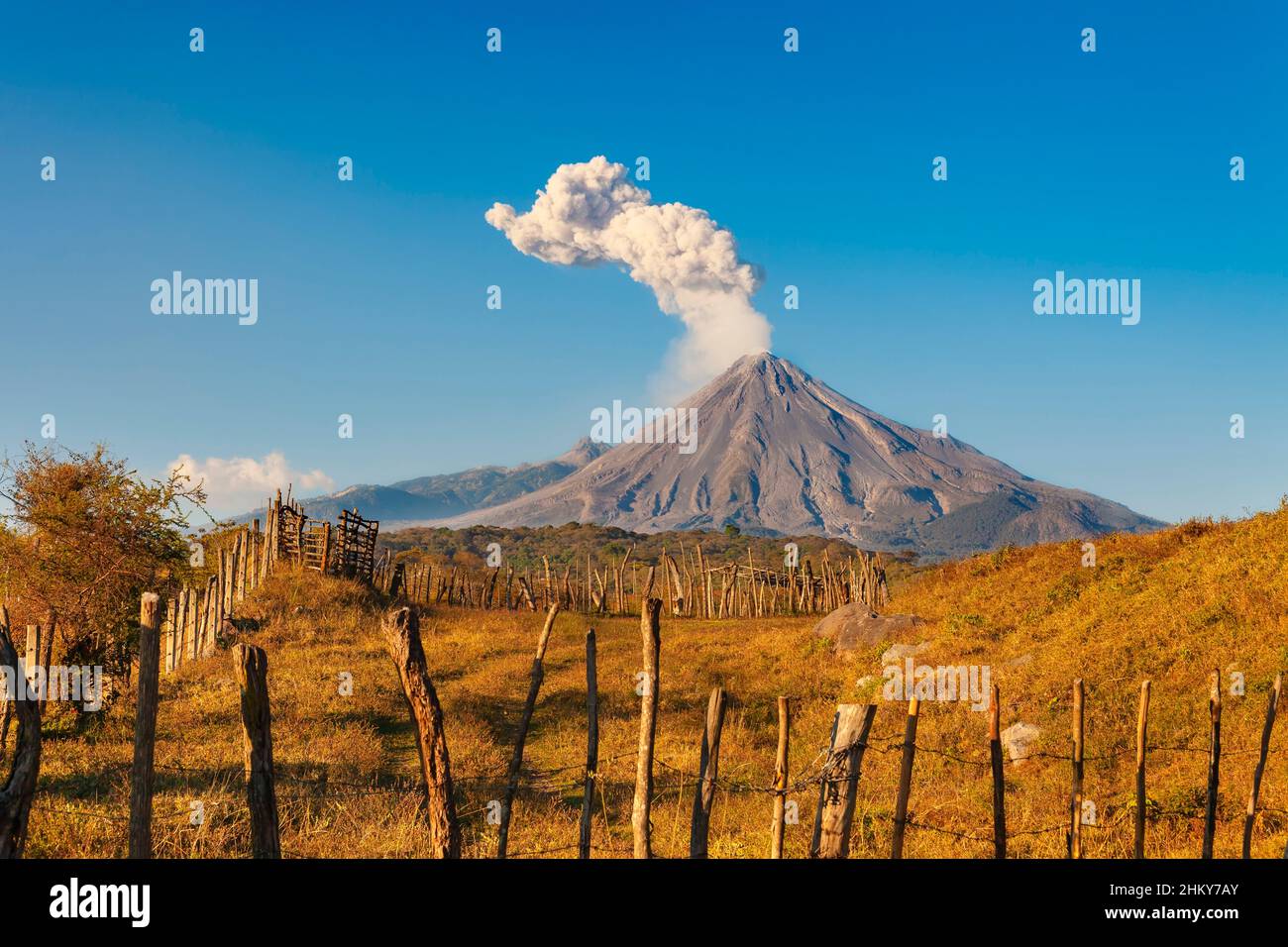 Volcano of Fire. Colima. Mexico, North America Stock Photo