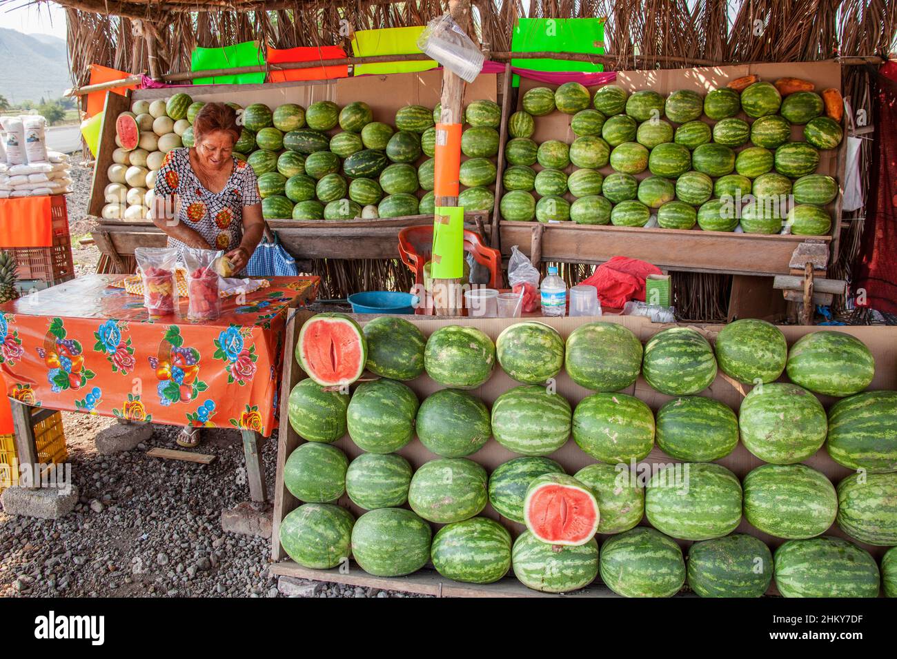 Woman selling watermelons, Colima. Mexico, North America Stock Photo
