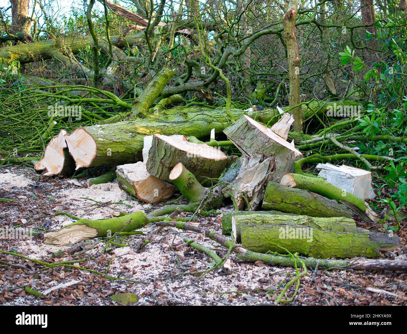 Damage to sections hi-res stock photography and images - Alamy