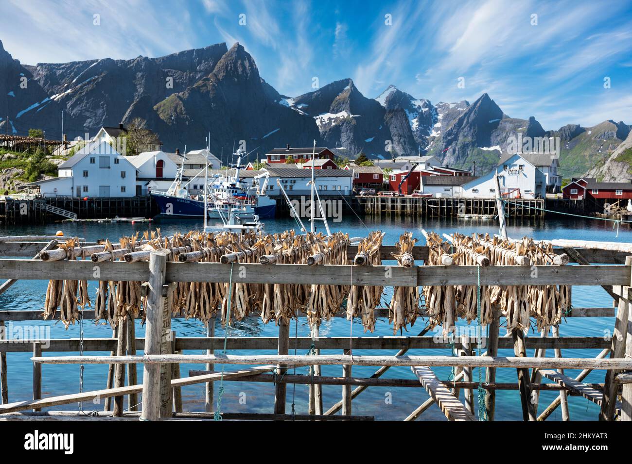 Drying fish in the traditional manner on open air racking, Hamnoy, Lofoten Islands, Norway. Stock Photo