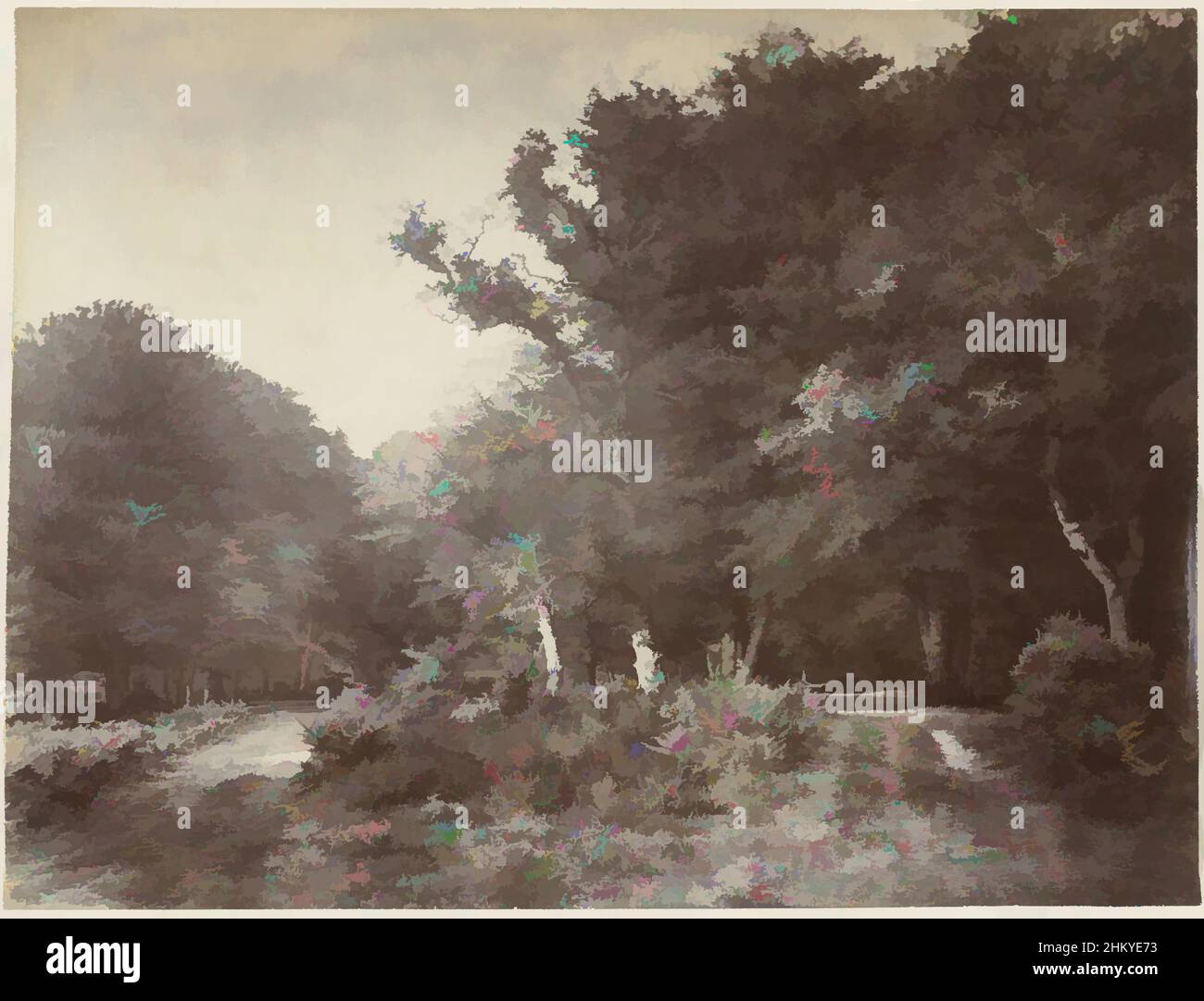 Art inspired by Forest landscape in Britain, John Golden Short, Great Britain, 1855 - 1890, paper, albumen print, height 152 mm × width 197 mm, Classic works modernized by Artotop with a splash of modernity. Shapes, color and value, eye-catching visual impact on art. Emotions through freedom of artworks in a contemporary way. A timeless message pursuing a wildly creative new direction. Artists turning to the digital medium and creating the Artotop NFT Stock Photo