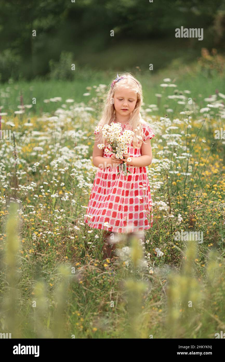 Little girl in a field with wildflowers Stock Photo - Alamy