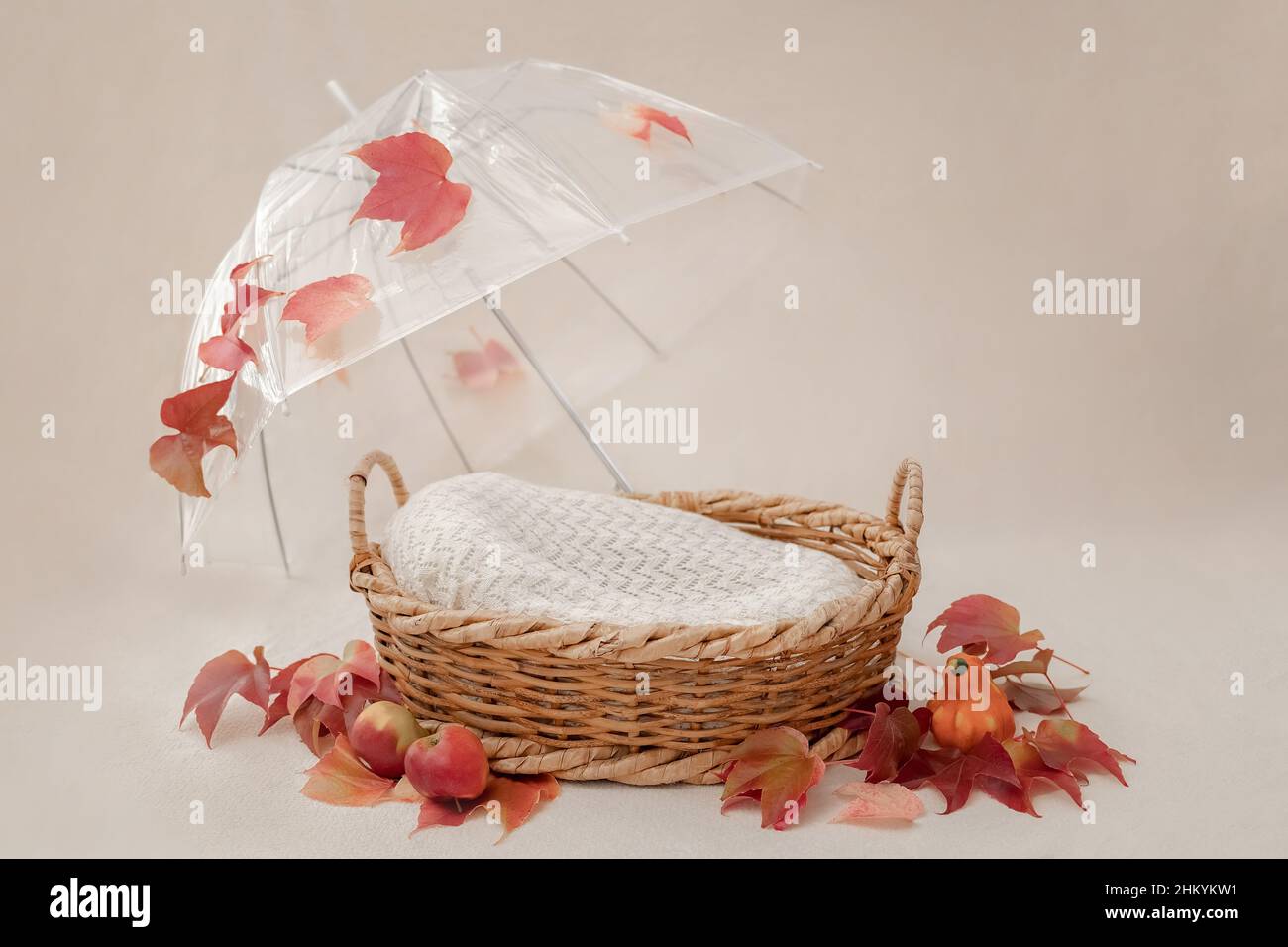 basket for baby decorated with umbrella and autumn Stock Photo - Alamy