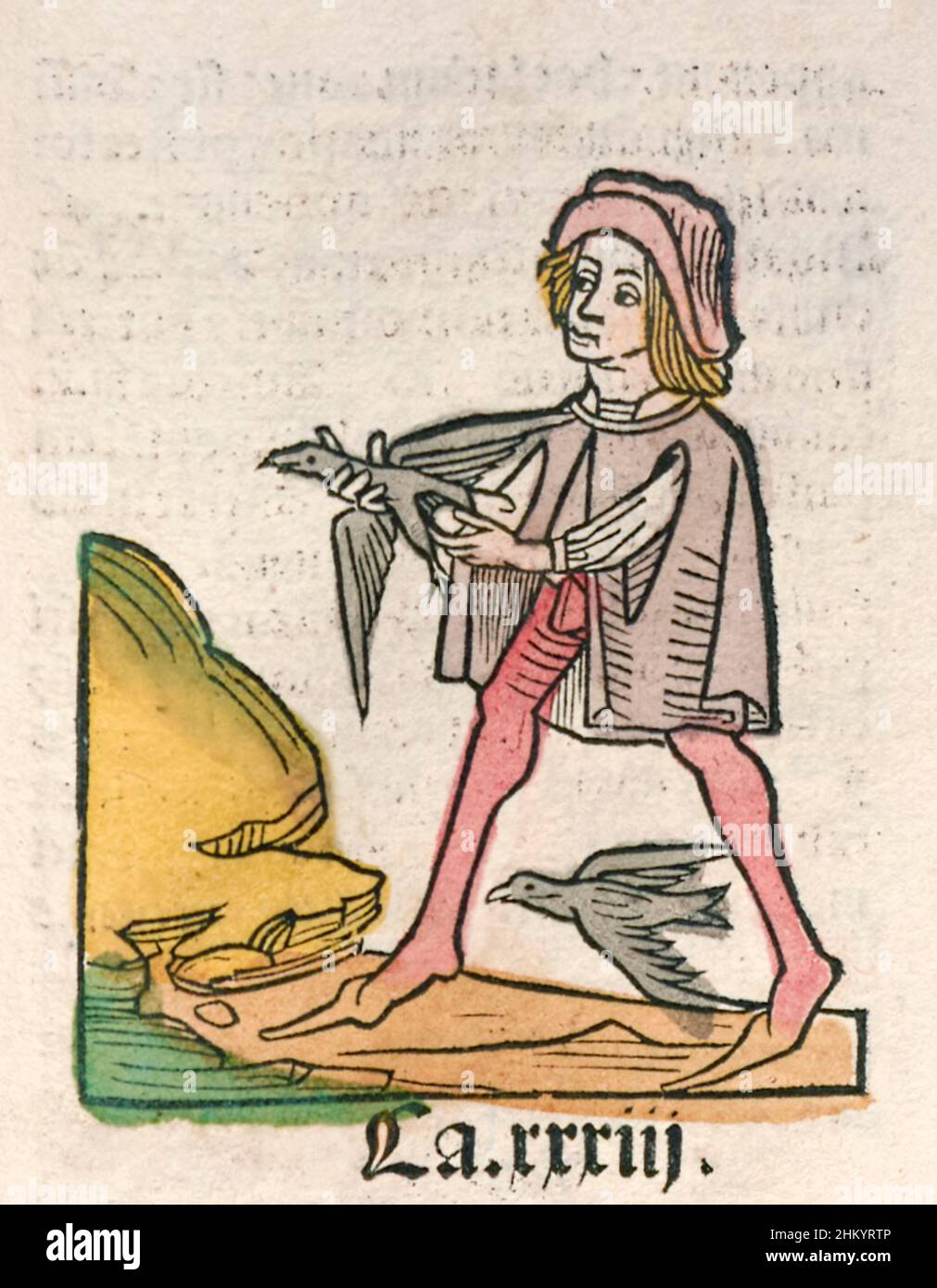 Hortus Sanitatis [The Garden of Health] by Jacob Meydenbach published in 1491 in Mainz, Germany describes species of plants with medicinal uses. Photograph shows hand coloured woodcut illustration of a man extracting a swallow stone (chelidonius) which was believed to alleviate melancholy and periodic psychosis. Stock Photo