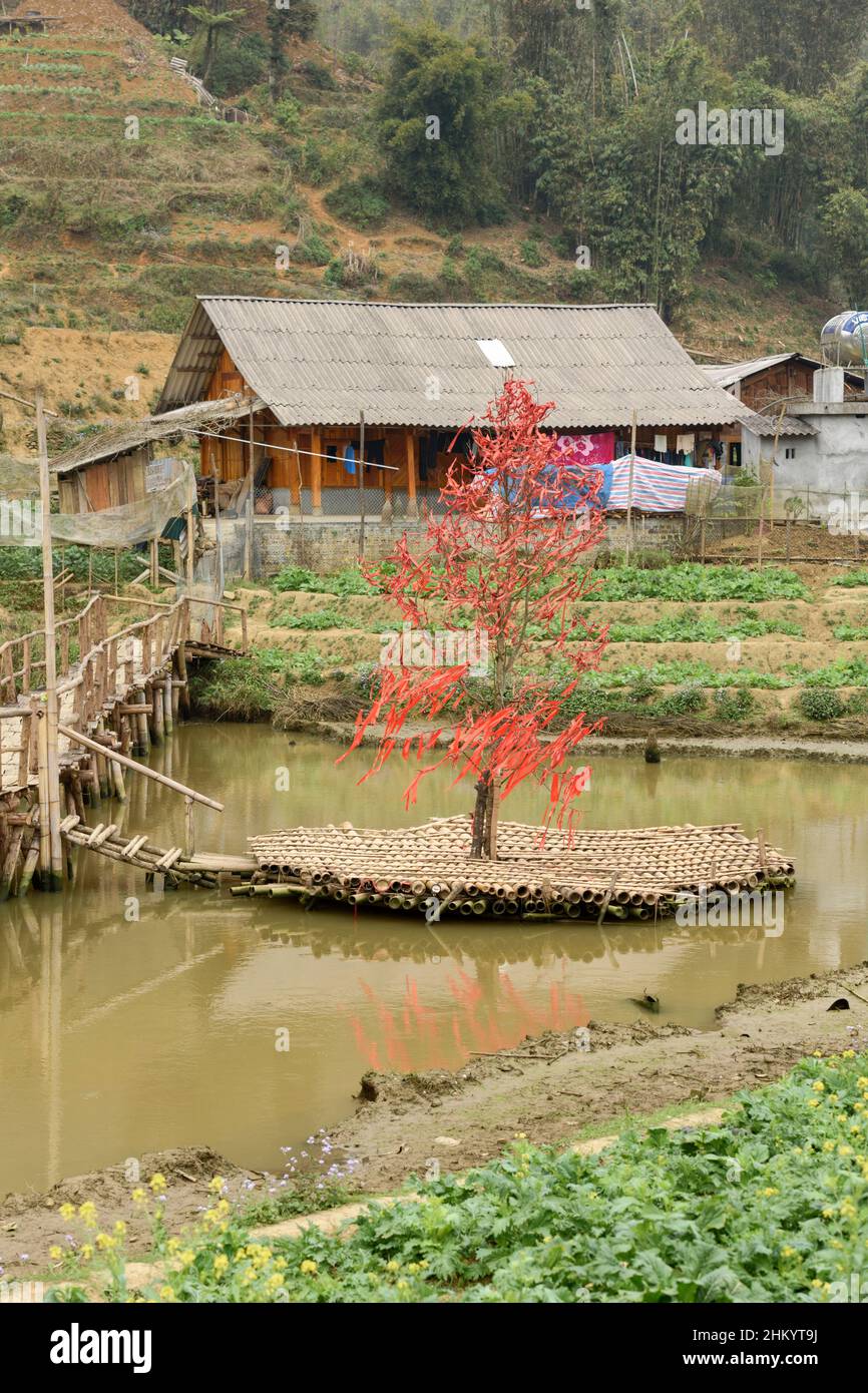 Red ribbons hang on a tree of wishes in Cat Cat Hmong village, Sapa (Sa Pa), Lao Cai Province, Vietnam, Southeast Asia Stock Photo