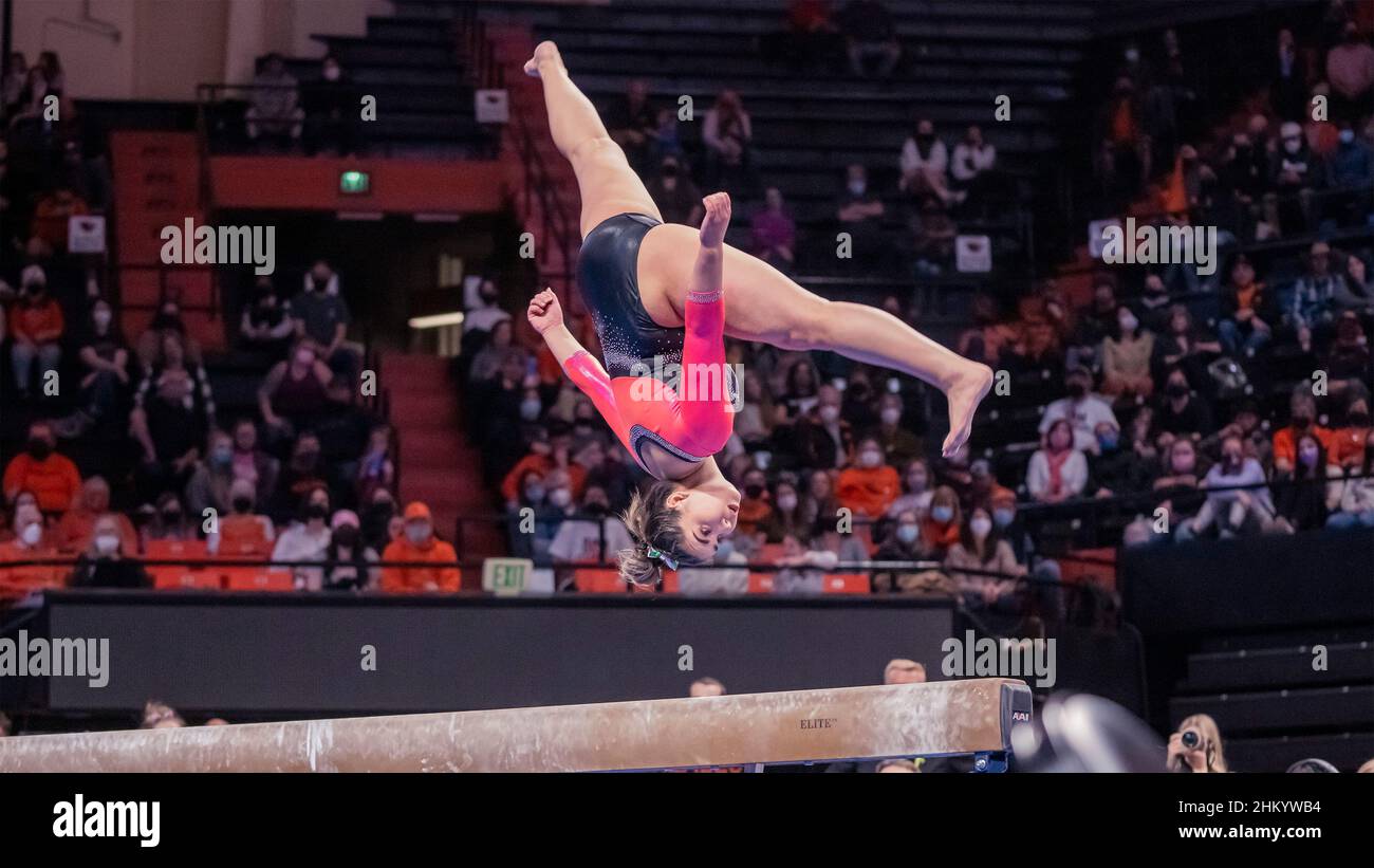Oregon state university gymnastics hires stock photography and images