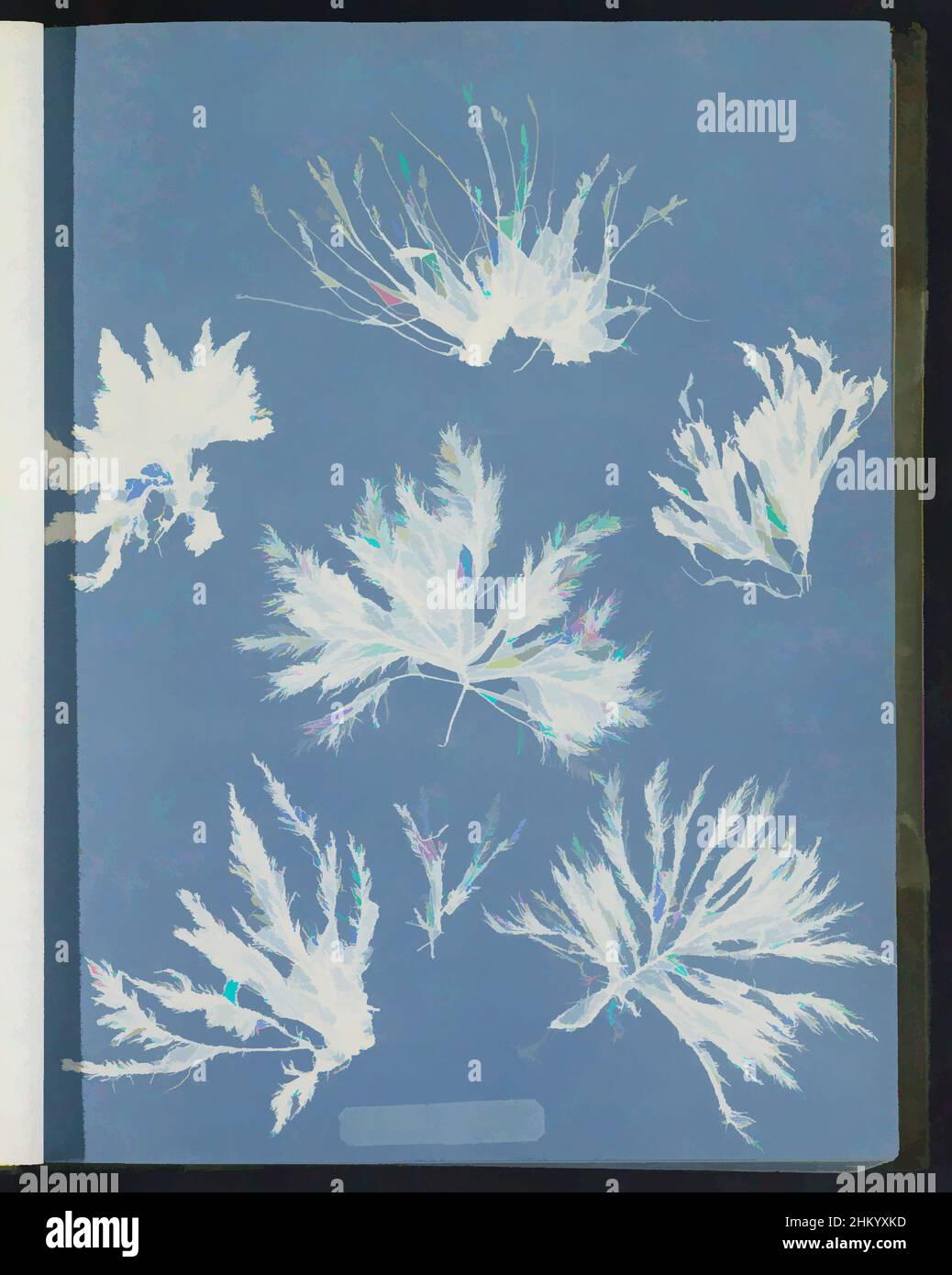 Art inspired by Bryopsis plumosa, Anna Atkins, United Kingdom, c. 1843 - c. 1853, photographic support, cyanotype, height 250 mm × width 200 mm, Classic works modernized by Artotop with a splash of modernity. Shapes, color and value, eye-catching visual impact on art. Emotions through freedom of artworks in a contemporary way. A timeless message pursuing a wildly creative new direction. Artists turning to the digital medium and creating the Artotop NFT Stock Photo