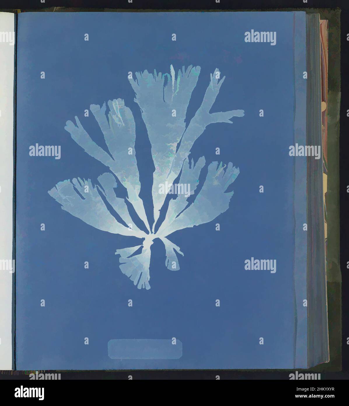 Art inspired by Dictyota atomaria, Anna Atkins, United Kingdom, c. 1843 - c. 1853, photographic support, cyanotype, height 250 mm × width 200 mm, Classic works modernized by Artotop with a splash of modernity. Shapes, color and value, eye-catching visual impact on art. Emotions through freedom of artworks in a contemporary way. A timeless message pursuing a wildly creative new direction. Artists turning to the digital medium and creating the Artotop NFT Stock Photo