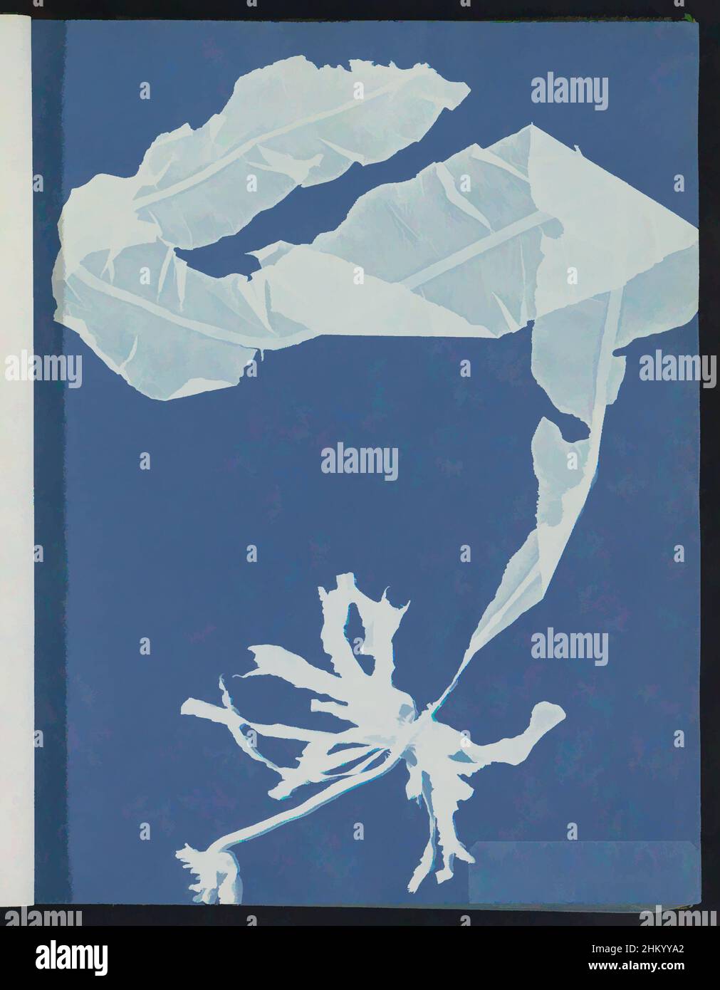 Art inspired by Alaria esculenta, Anna Atkins, United Kingdom, c. 1843 - c. 1853, photographic support, cyanotype, height 250 mm × width 200 mm, Classic works modernized by Artotop with a splash of modernity. Shapes, color and value, eye-catching visual impact on art. Emotions through freedom of artworks in a contemporary way. A timeless message pursuing a wildly creative new direction. Artists turning to the digital medium and creating the Artotop NFT Stock Photo