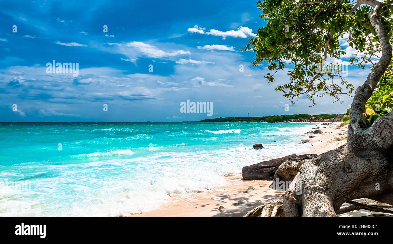 View on paradise beach of playa blanca on Baru island next to Cartagena, Colombia Stock Photo