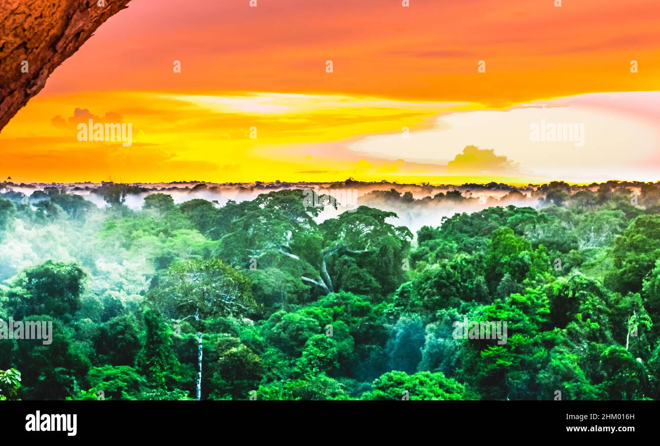 Sunset over the trees in the brazilian rainforest of Amazonas Stock