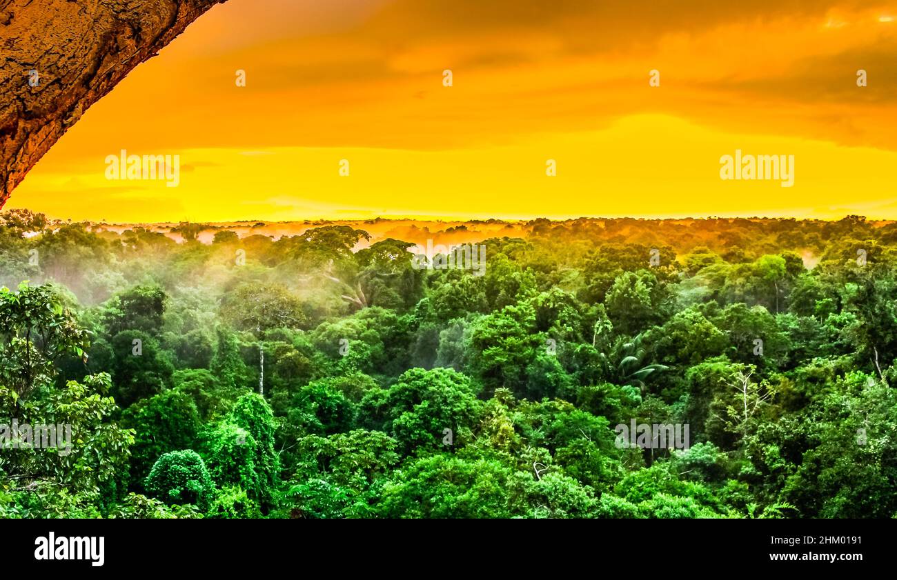 Sunset over the trees in the brazilian rainforest of Amazonas Stock Photo